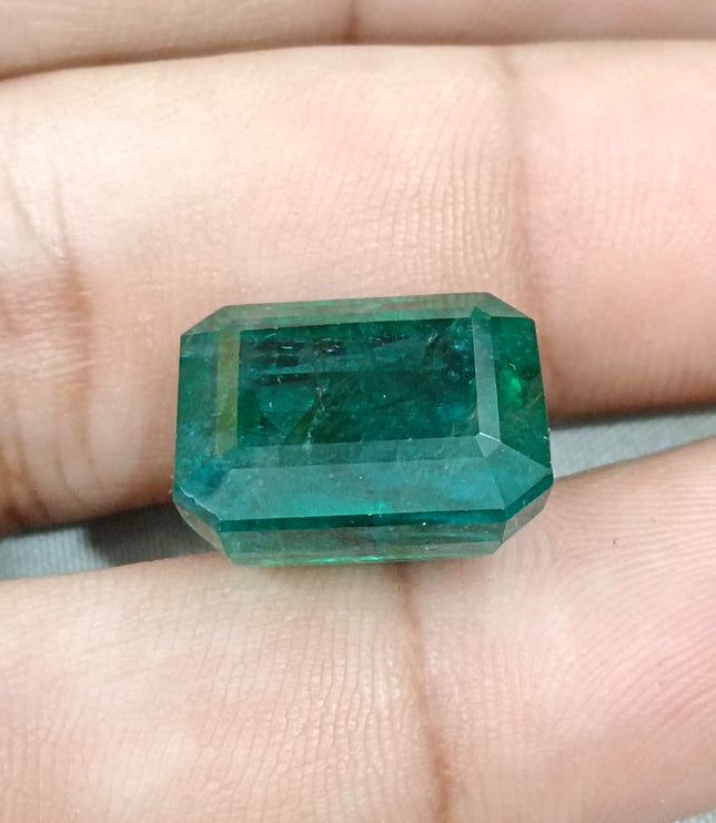 16.71ct Natural Emerald Deep Forest Green AGRL Certified Octagon Cut Loose Gemstone