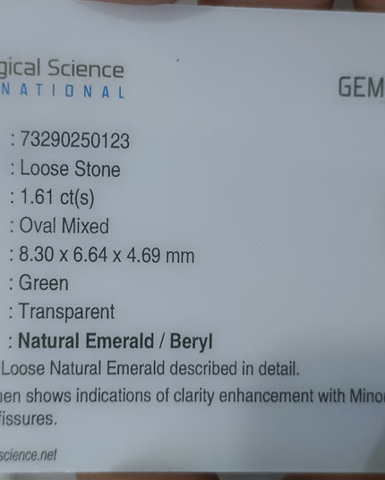 GSI Certified Vivid medium deep Green Swat Emerald Minor Oiled Loose Gemstone