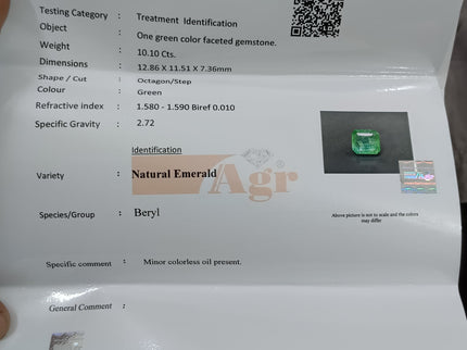 10.10ct Natural Emerald AGRL Certified Pastel Green Octagon Cut Loose Gemstone