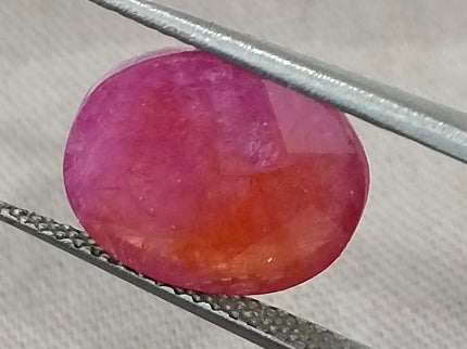 Mozambique Ruby 5.54ct Natural Red Oval Cut Unheated Certified Loose Gemstone