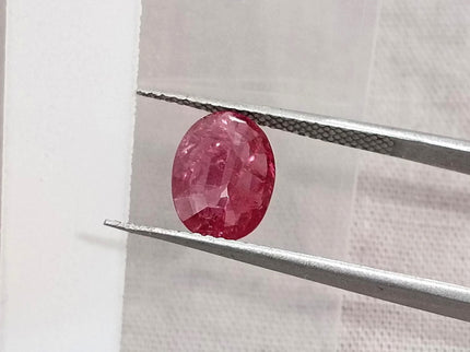1.68ct Untreated Natural Mozambique Ruby Cherry Red SGL Certified Oval Loose Gemstone