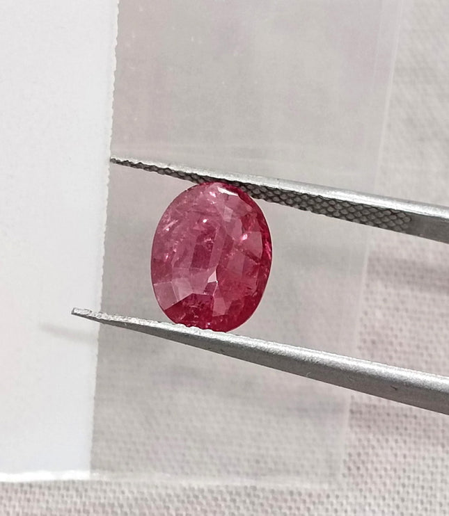 1.68ct Untreated Natural Mozambique Ruby Cherry Red SGL Certified Oval Loose Gemstone