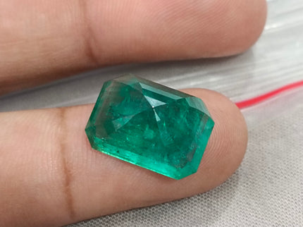Natural Emerald 13.86ct Zambia Deep Green Octagon Cut Gemstone
