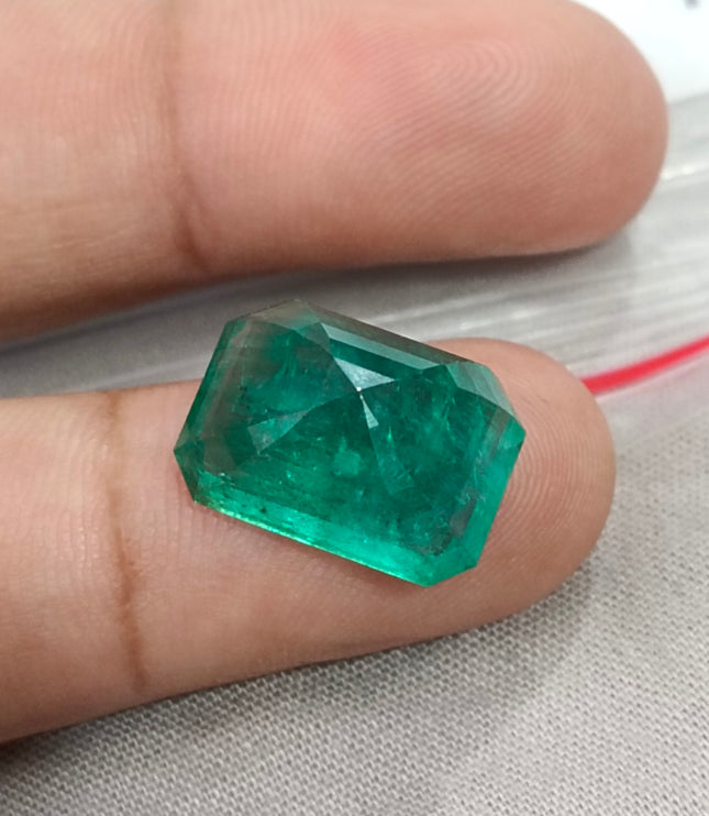 Natural Emerald 13.86ct Zambia Deep Green Octagon Cut Gemstone