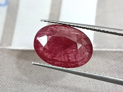 3.29ct Untreated Natural Mozambique Ruby Rasberry Red SGL Certified Oval Loose Gemstone