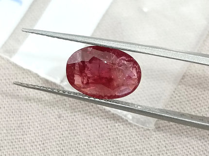 2.59ct Unheated Natural Ruby Mozambique SGL Certified Wine Red Oval Loose Gemstone
