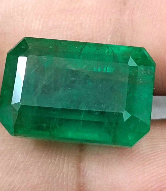 Swat Emerald 29.19ct Natural Deep Velvet Green Gemstone