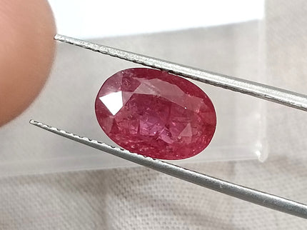 2.87ct Mozambique Ruby Unheated Natural Rasberry Ruby SGL Certified Oval Cut Loose Gemstone