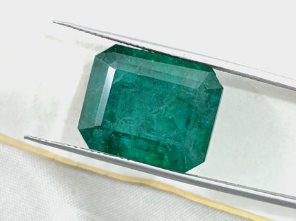 16.71ct Natural Emerald Deep Forest Green AGRL Certified Octagon Cut Loose Gemstone