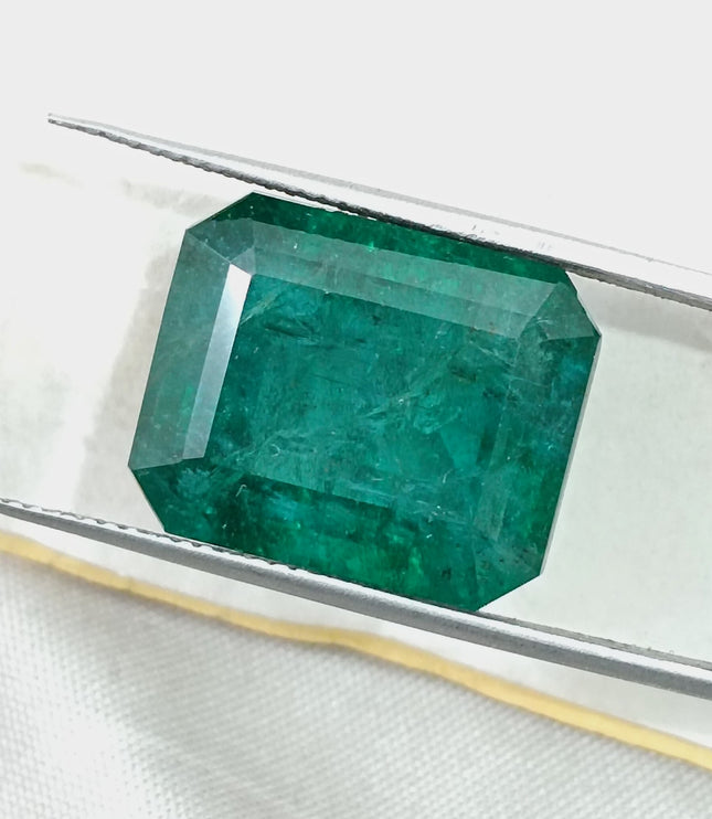 16.71ct Natural Emerald Deep Forest Green AGRL Certified Octagon Cut Loose Gemstone