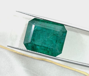 16.71ct Natural Emerald Deep Forest Green AGRL Certified Octagon Cut Loose Gemstone