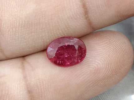 1.68ct Untreated Natural Mozambique Ruby Cherry Red SGL Certified Oval Loose Gemstone