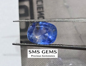 Unheated Cornflower Blue Sapphire 1.87ct Natural GSI Certified Cushion Cut Loose Gemstone