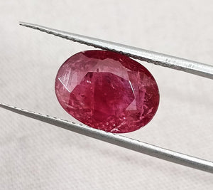 3.42ct Untreated Natural Mozambique Ruby Merlot Red Oval Cut SGL Certified Loose Stone