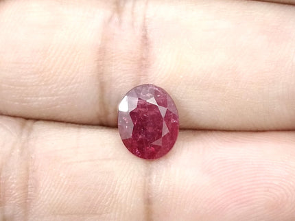 2.39ct Untreated Natural Ruby SGL Certified Mozambique Deep Cherry Red Oval Cut Gemstone