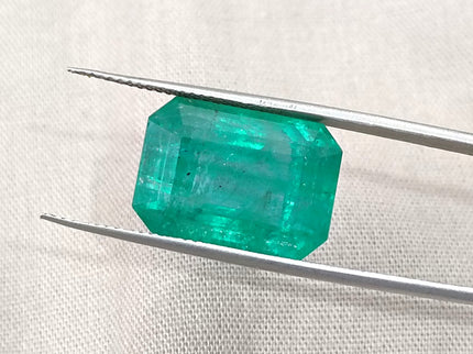 Natural Emerald 13.86ct Zambia Deep Green Octagon Cut Gemstone