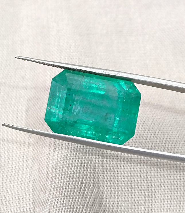 Natural Emerald 13.86ct Zambia Deep Green Octagon Cut Gemstone