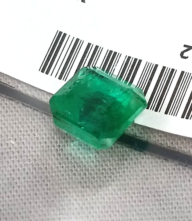 Emerald Natural 3.64ct GSI Certified Medium Deep Parrot Green Octagon Cut Loose Gemstone