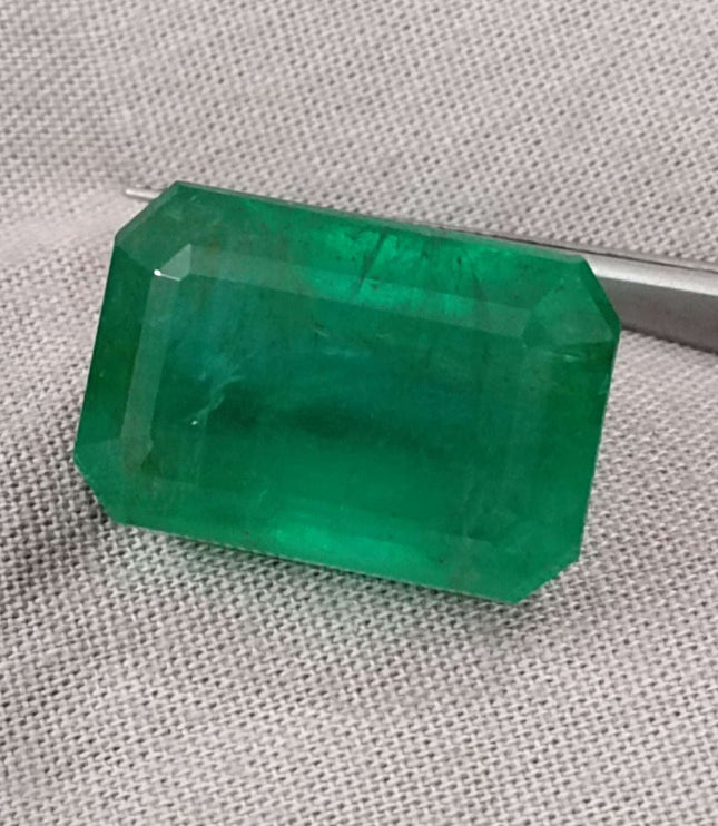 Swat Emerald 29.19ct Natural Deep Velvet Green Gemstone