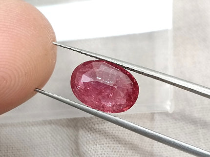2.87ct Mozambique Ruby Unheated Natural Rasberry Ruby SGL Certified Oval Cut Loose Gemstone