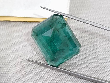16.71ct Natural Emerald Deep Forest Green AGRL Certified Octagon Cut Loose Gemstone