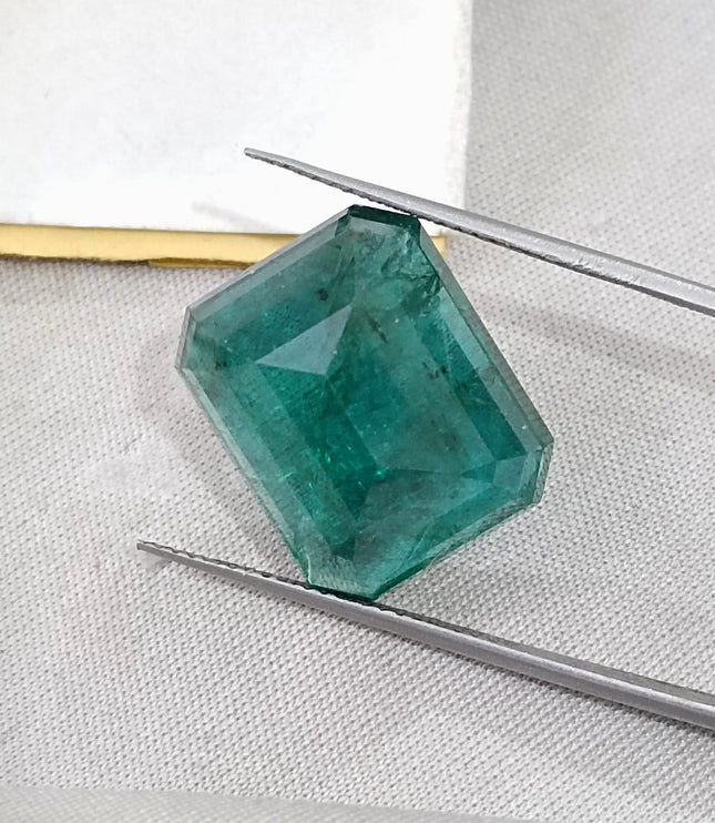 16.71ct Natural Emerald Deep Forest Green AGRL Certified Octagon Cut Loose Gemstone