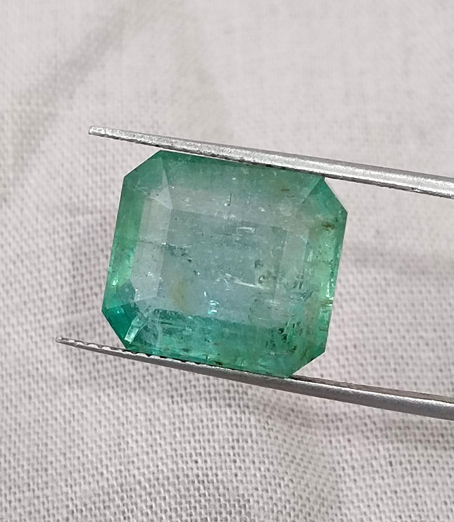 10.10ct Natural Emerald AGRL Certified Pastel Green Octagon Cut Loose Gemstone