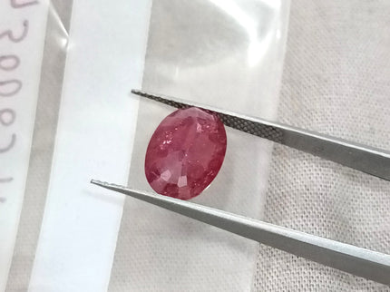 3.25ct Unheated Natural Ruby Crimsom Red SGL Certified Oval Cut Loose Stone