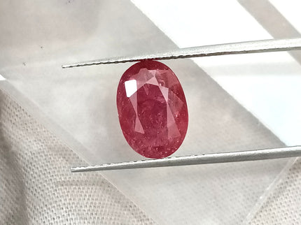 2.87ct Mozambique Ruby Unheated Natural Rasberry Ruby SGL Certified Oval Cut Loose Gemstone