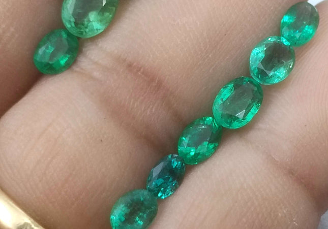 8.40ct Medium Light to Vivid Green Zambian Emerald Parcel Minor Oiled Loose Gemstones