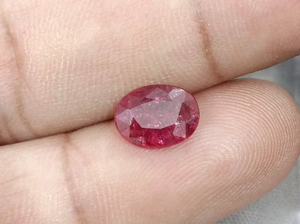 1.68ct Untreated Natural Mozambique Ruby Cherry Red SGL Certified Oval Loose Gemstone
