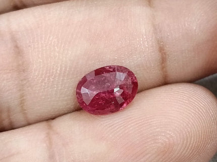 1.68ct Untreated Natural Mozambique Ruby Cherry Red SGL Certified Oval Loose Gemstone