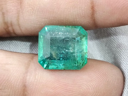 10.10ct Natural Emerald AGRL Certified Pastel Green Octagon Cut Loose Gemstone