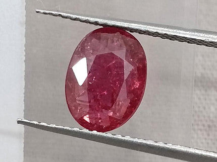 1.68ct Untreated Natural Mozambique Ruby Cherry Red SGL Certified Oval Loose Gemstone