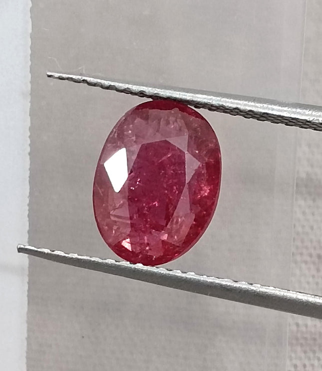 1.68ct Untreated Natural Mozambique Ruby Cherry Red SGL Certified Oval Loose Gemstone