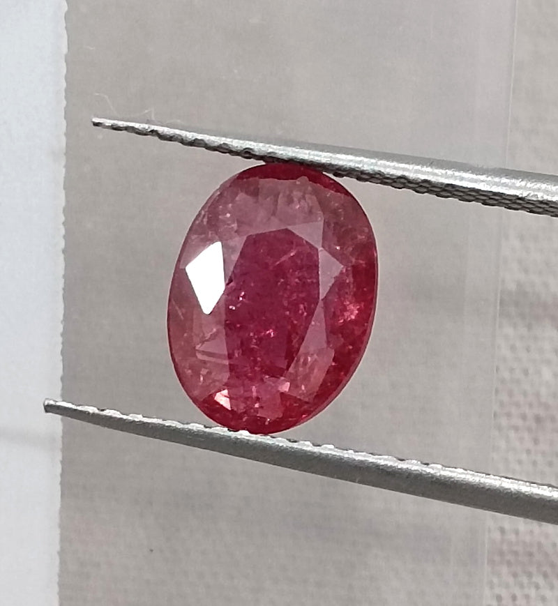 1.68ct Untreated Natural Mozambique Ruby Cherry Red SGL Certified Oval Loose Gemstone