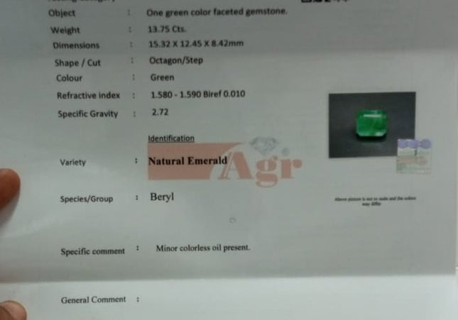 AGRL Certified 13.75ct Swat Emerald Natural Medium Light Green Minor Oiled Loose Gemstone.
