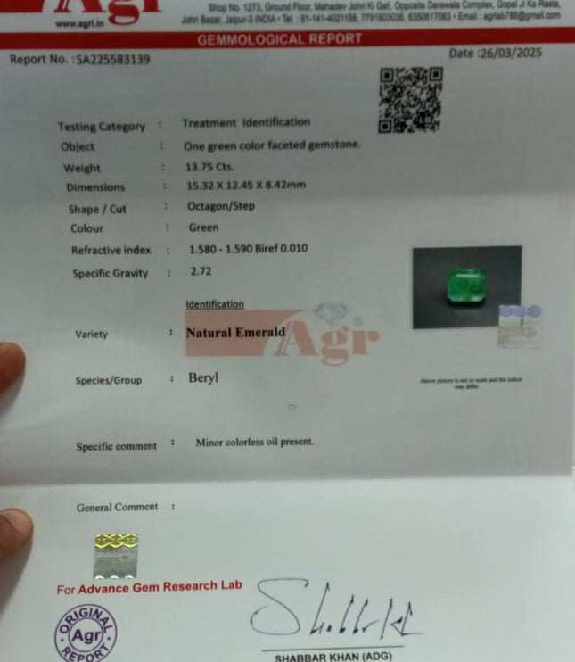 Swat Emerald 13.75 ct Natural Loose Gemstone Medium Light Green Octagon Cut