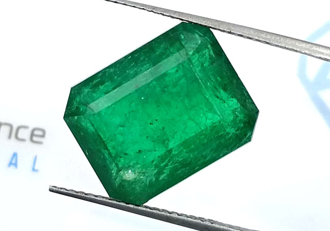 11.92ct Natural Deep Vivid Green Minor Oiled Swat Emerald.