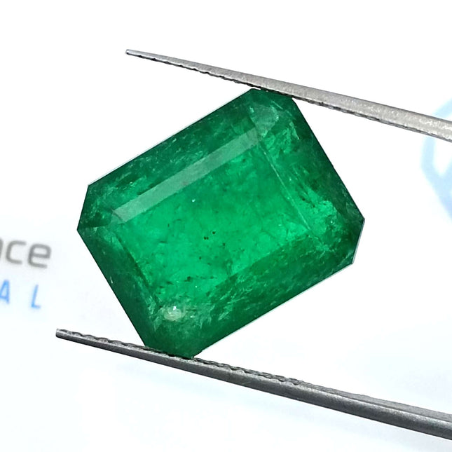 11.92ct Natural Deep Vivid Green Minor Oiled Swat Emerald.