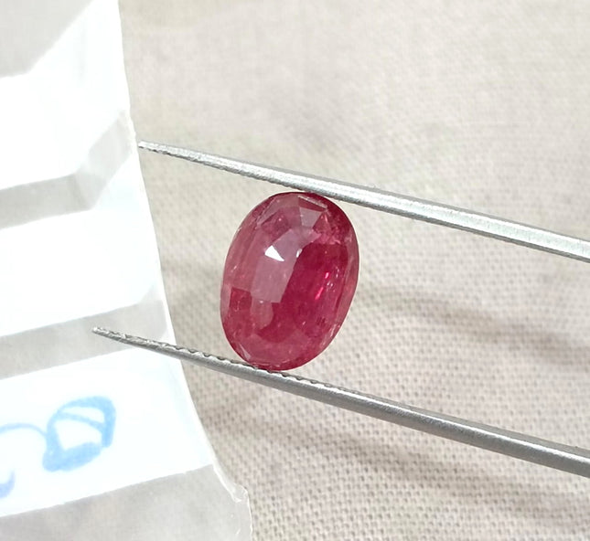 3.20ct Unheated Mozambique Natural Ruby Orchid Red SGL Certified Oval Stone