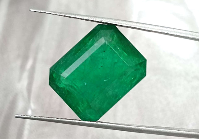 11.92ct Natural Deep Vivid Green Minor Oiled Swat Emerald.