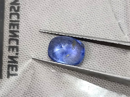Unheated Cornflower Blue Sapphire 1.87ct Natural GSI Certified Cushion Cut Loose Gemstone