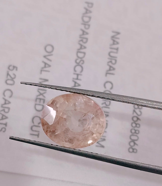 Untreated Padparadscha Sapphire 5.20ct Natural IGI Certified Pinkish Orange Oval Cut Loose Gemstone