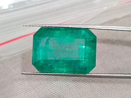 Natural Emerald 13.86ct Zambia Deep Green Octagon Cut Gemstone