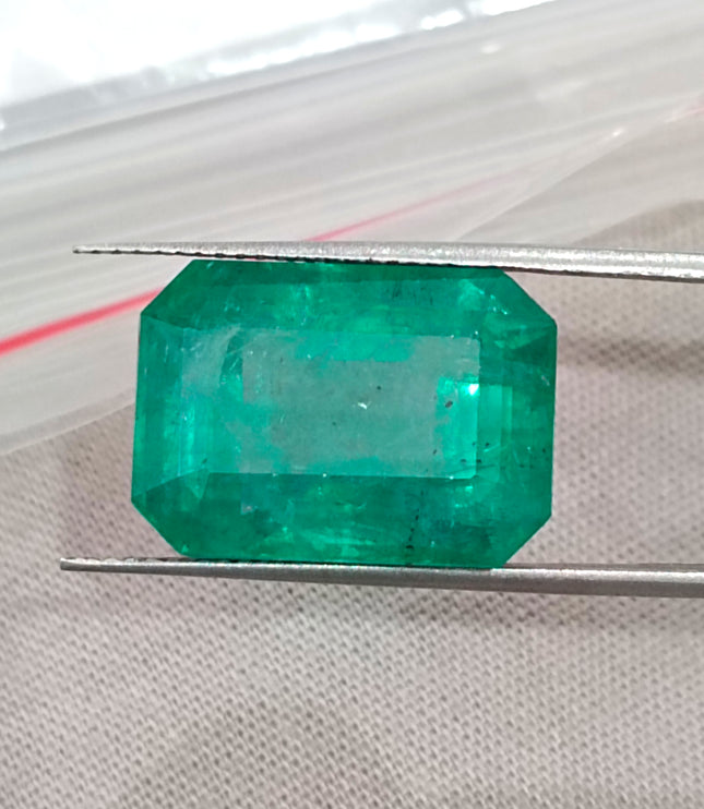 Natural Emerald 13.86ct Zambia Deep Green Octagon Cut Gemstone