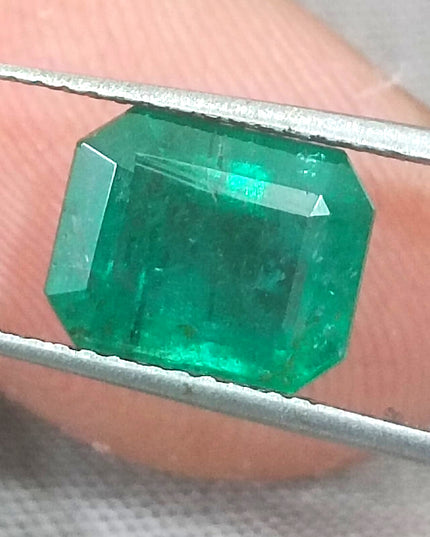 GSI Certified Deep Forest Green Natural Zambian Emerald Minor Oiled Loose Gemstone