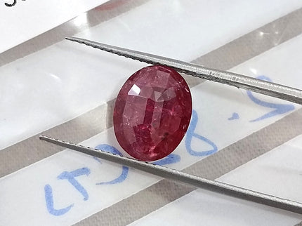 2.82ct Unheated Natural Ruby SGL Certified Mozambique Purplish Red Oval Cut Loose Gemstone