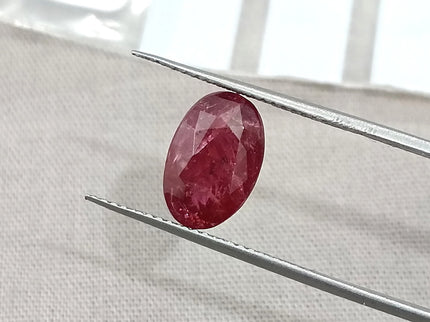 2.84ct Mozambique Ruby Untreated Natural SGL Certified Rasberry Red Stone