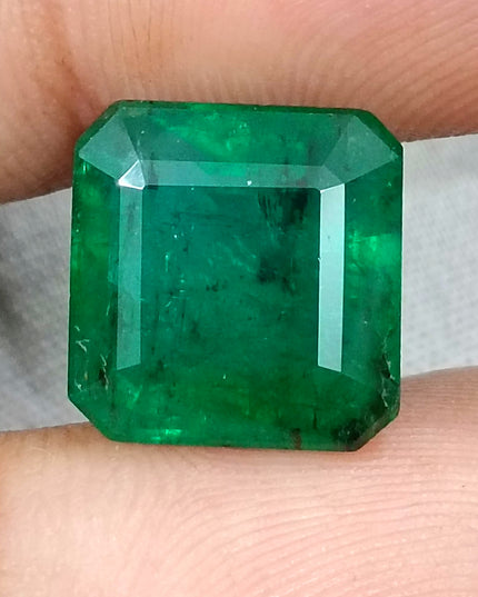 Big Size 9.93ct Zambian Emerald Vivid Deep Green  Certified by GSI Minor Oiled Loose Gemstone
